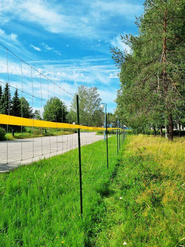 Koirametsän korkea pieneläinaita