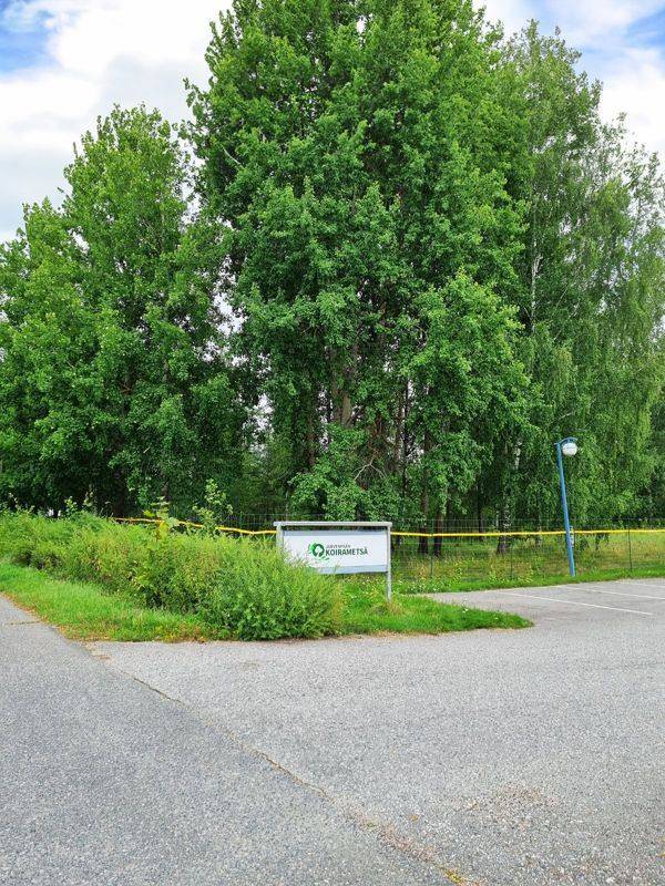 Sisäänkäynti Fox Centerin pihasta koirametsään